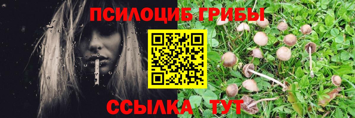 Галлюциногенные грибы Cubensis  Вход с VPN  Черногорск 